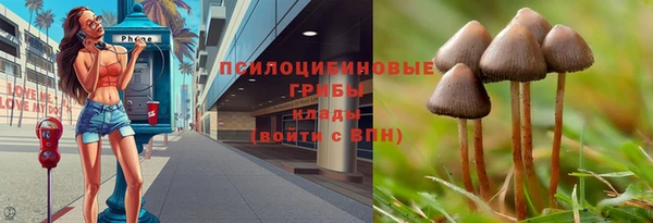 прущие крисы Бугульма