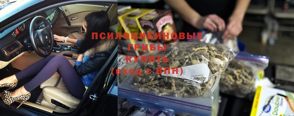 круглые Бронницы